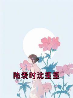 《陆羡时沈笙笙》大结局免费阅读 《陆羡时沈笙笙》最新章节列表