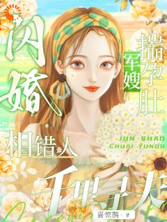 《闪婚相错人，军嫂揣孕肚千里寻夫》小说在线试读 《闪婚相错人，军嫂揣孕肚千里寻夫》最新章节目录