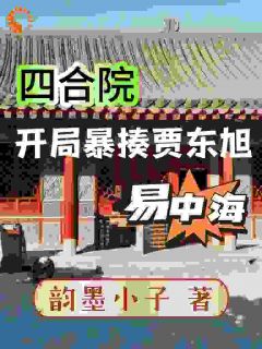 四合院：开局暴揍易中海贾东旭完整版小说在线阅读地址 主角周开阳周开月