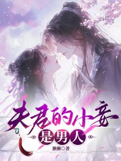 《夫君的小妾是男人》小说章节目录精彩试读 芷兰赵炯小说阅读