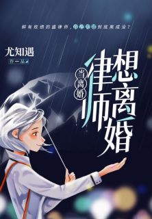 《当离婚律师想离婚》大结局在线阅读 《当离婚律师想离婚》最新章节列表