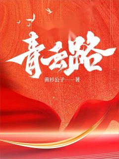 《青云之路》免费阅读 李青云柳晚晴在线阅读