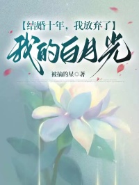 《结婚十年，我放弃了我的白月光》严鹤乔慧全文在线阅读