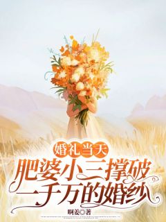 《婚礼当天，肥婆小三撑破一千万的婚纱》完结版在线试读 《婚礼当天，肥婆小三撑破一千万的婚纱》最新章节列表