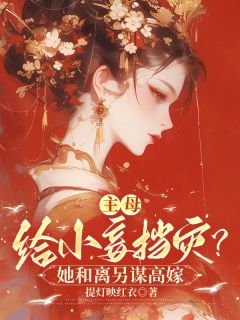 《主母给小妾挡灾？她和离另谋高嫁》小说全文精彩试读 林书音沈汀寒小说阅读