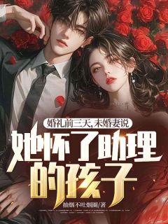 《婚礼前三天，未婚妻说她怀了助理的孩子》小说章节在线试读 林锋沈听雪小说阅读