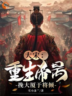 《大宋：重生帝昺，挽大厦于将倾》小说完结版在线试读 赵昺张世杰小说全文