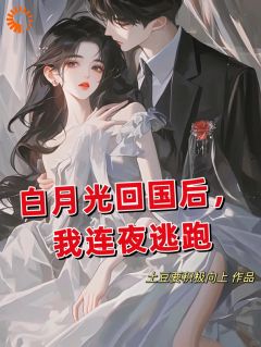 《白月光回国后，我连夜逃跑》小说全文精彩阅读 宋念乐林星澜小说阅读