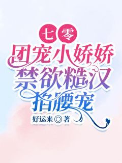 七零团宠小娇娇，禁欲糙汉掐腰宠完整版 苏晓叶辰全章节阅读