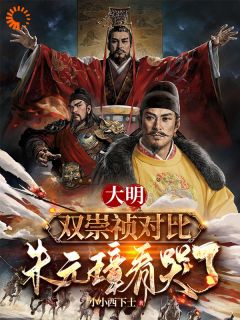 《大明：双崇祯对比，朱元璋看哭了》小说完结版免费阅读 朱元璋朱由检小说阅读