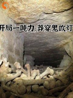 《开局一吨力，莽穿鬼吹灯》小说精彩阅读 《开局一吨力，莽穿鬼吹灯》最新章节列表