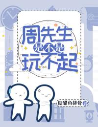 《要我辞职，出事哭着求我回来干吗？》小说全文免费试读 安南风周斯翊小说阅读