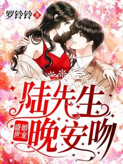 《盛世婚宠：陆先生，晚安吻！》小说章节目录在线阅读 苏绵陆知隽小说阅读