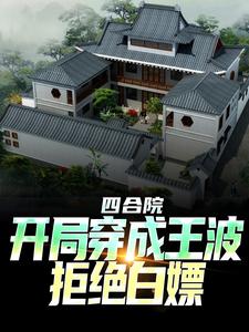 《四合院：开局穿成王波，拒绝白嫖》小说全文精彩试读 王波雨水小说阅读