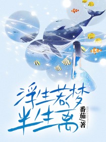 《浮生若梦半生离》小说免费阅读 《浮生若梦半生离》最新章节列表