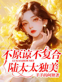 《不原谅，不复合，陆太太独美》小说精彩章节免费试读（主角林菀陆千衡）