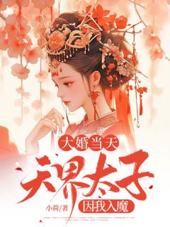 《大婚当天，天界太子因我入魔》小说完结版在线阅读 玄冥凤岭小说全文