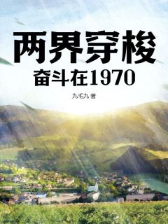 《两界穿梭：奋斗在1970》全文免费章节在线试读 武大庆林丽薇小说