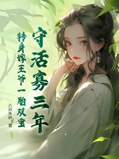 《守活寡三年，转身嫁王爷一胎双宝》小说精彩章节免费试读（主角苏穆兮夜泽宇）