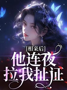 《相亲后，他连夜拉我扯证》小说大结局在线试读 陆十一傅珹小说全文