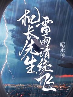 《机长先生，雷雨请绕飞》大结局精彩阅读 《机长先生，雷雨请绕飞》最新章节列表