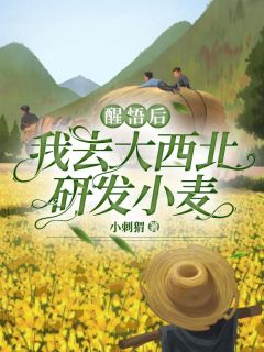 《醒悟后，我去大西北研发小麦》小说全文免费试读 《醒悟后，我去大西北研发小麦》最新章节目录