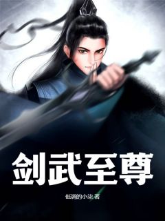 《剑武至尊》小说完结版精彩试读 杨武杨玲小说阅读