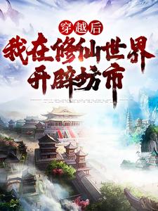 精品热文《穿越后，我在修仙世界开辟坊市》李一念王琳小说全文精彩章节免费试读无删减