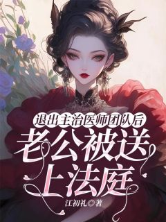 青春小说《退出主治医师团队后，老公被送上法庭》主角盛琳覃远全文精彩内容免费阅读