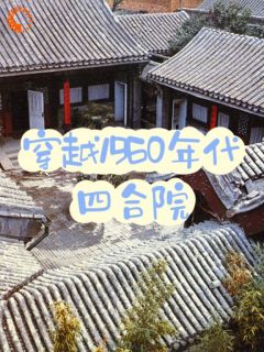 《穿越1960年代四合院》小说章节目录在线试读 刘有福李翠兰小说全文