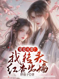 《宠妾灭妻?我转头红杏出墙》沈从元霜姨娘章节免费阅读