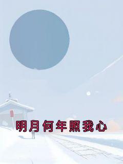 《明月何年照我心》姜念夏陆时越全本在线阅读