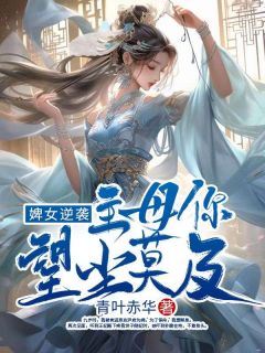 《婢女逆袭，主母你望尘莫及》梁子安苏红锦茯苓精彩内容在线阅读