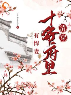 《清穿：十爷府里有悍妻》小说章节列表在线阅读 诺敏胤䄉小说阅读