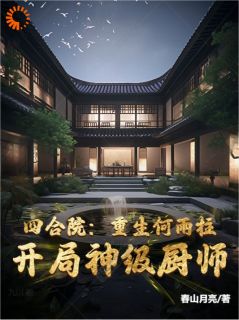 何雨柱何雨水小说 四合院重生何雨柱，开局神级厨师(何雨柱何雨水)小说阅读