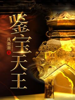 《鉴宝天王》全集免费在线阅读（林舟周子豪）