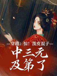 精品《穿越：惊！泼皮混子中三元及第了》小说在线阅读 林殊厉寒小说全集无删减全文