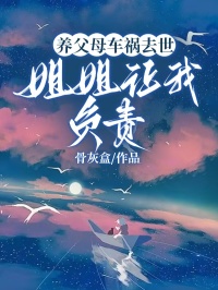 《养父母车祸去世，姐姐让我负责》小说大结局在线试读 林蕊林聪小说全文