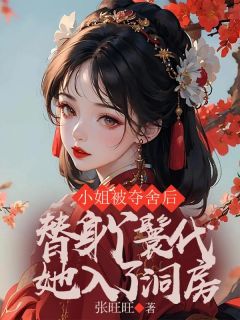 《小姐被夺舍后，替身丫鬟代她入了洞房》小说章节列表免费阅读 阿云霍悉彦小说阅读