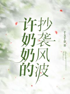 新书《许奶奶的抄袭风波》小说全集阅读 刘景远许洋余媛媛小说免费完整版全文