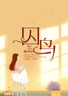 《一只无处可逃的鸟》小说大结局在线试读 叶青席南尧小说全文