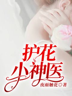 《护花小神医》小说章节目录在线阅读 李峰赵雅小说全文
