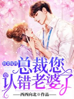 主角是苏长歌萧墨渊的小说在哪看 《娇妻嫁到：总裁，您认错老婆了》小说阅读入口