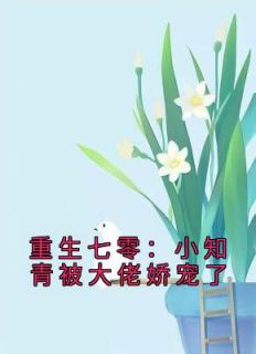 《重生七零：小知青被大佬娇宠了》小说完结版在线试读 苏妙妙姜景川小说全文