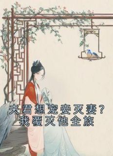 夫君想宠妾灭妻？我覆灭他全族杨昭沈立by南司音完整在线阅读