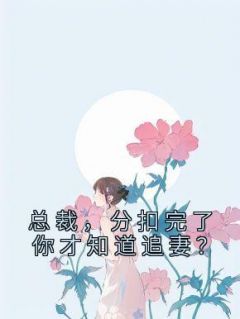 《总裁，分扣完了你才知道追妻？》沈妙薇杜晨宇小说在线阅读