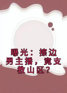 曝光：擦边男主播，竟支教山区？免费阅读(黎泽许欢欢小说全本资源) 无广告