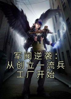 军阀逆袭：从创立一流兵工厂开始完整全文阅读 展风展云翔小说结局无删节