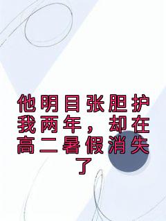 《他明目张胆护我两年，却在高二暑假消失了》小说章节免费阅读 何婧顾辞小说全文