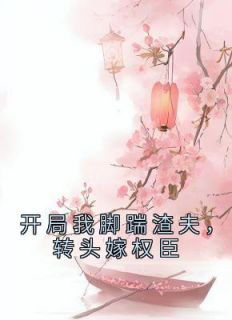 《开局我脚踹渣夫，转头嫁权臣》杨昭沈立免费试读